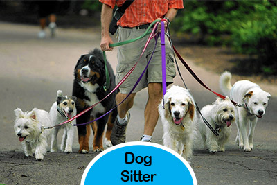 Dog Sitter