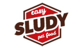 sludy-logo