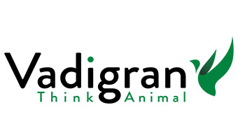 vadigran-logo